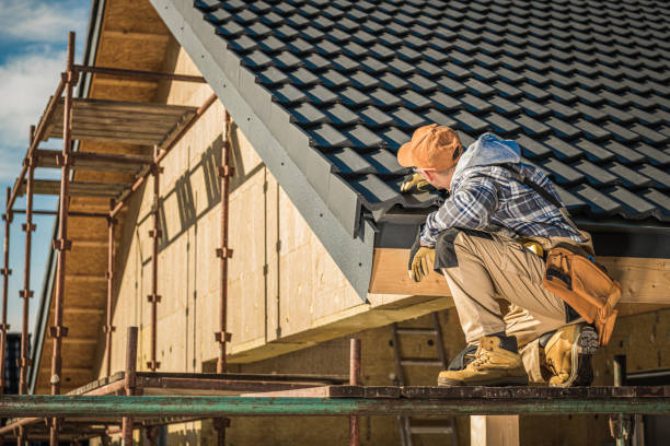 Professional Roofing service in Louisburg, KS